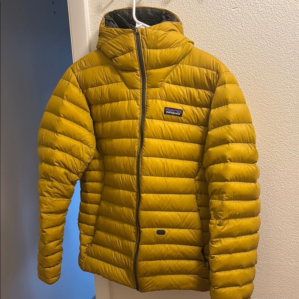 Patagonia Down Sweater Hoodie